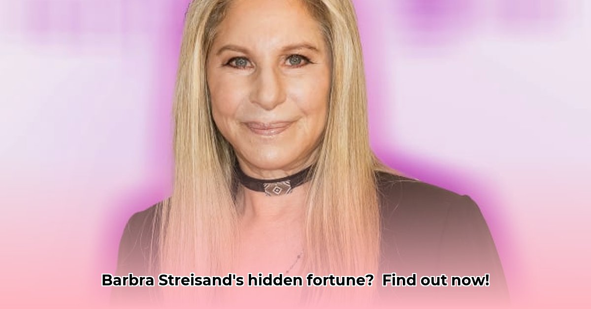 barbra-reifel-net-worth